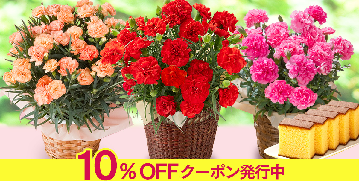 母の日 ギフト 洋菓子 詰め合わせ プレゼント カステラ 長崎心泉堂