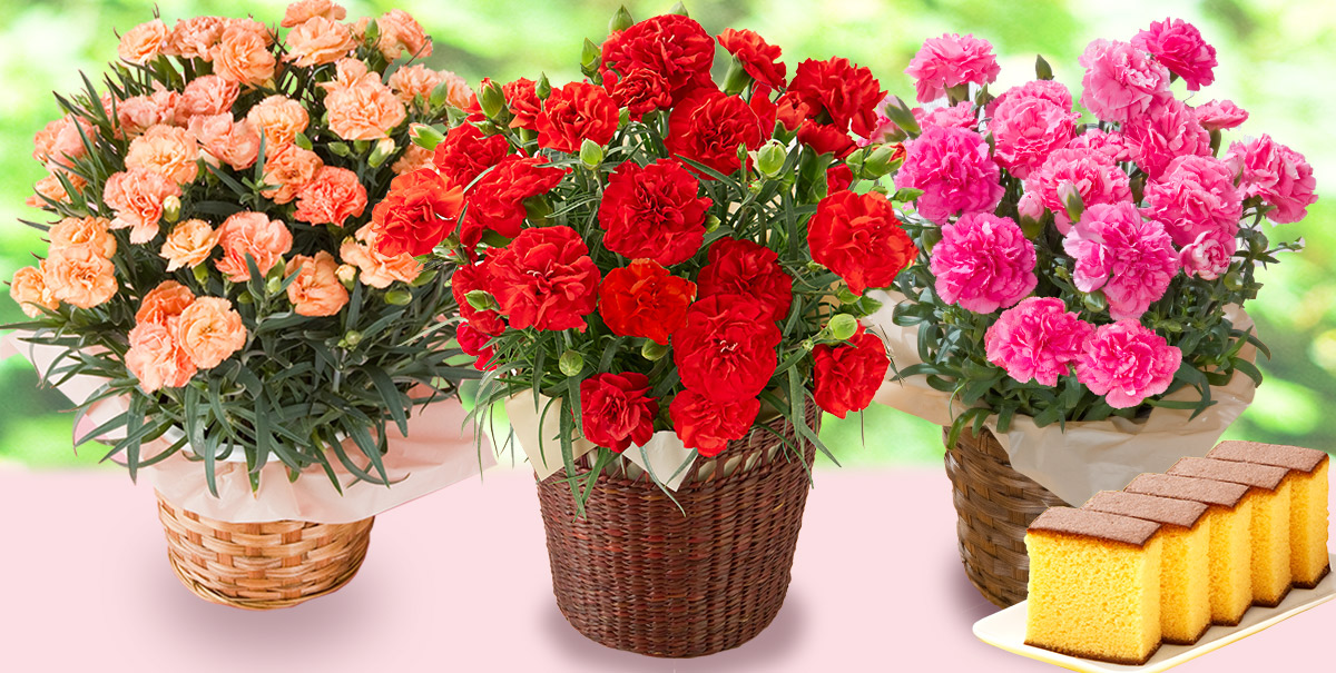 母の日 ギフト 洋菓子 詰め合わせ プレゼント カステラ 長崎心泉堂