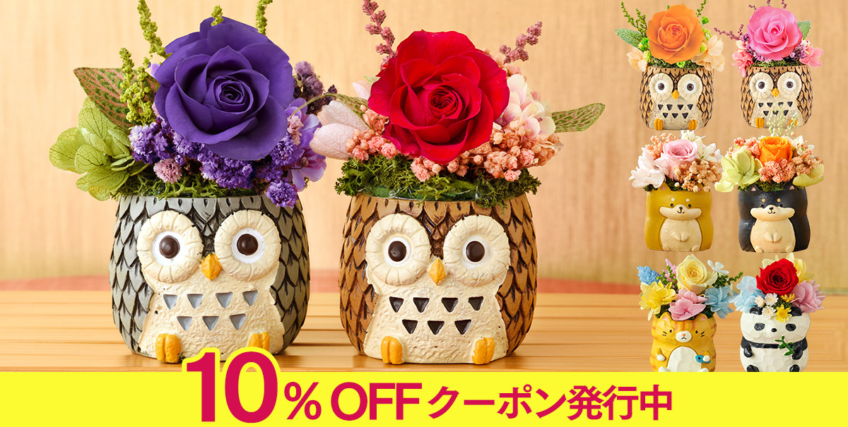 母の日 フラワーギフト 花 長崎カステラ プレゼント お母さん 母 ギフト