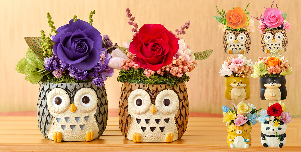 母の日 フラワーギフト 花 長崎カステラ プレゼント お母さん 母 ギフト