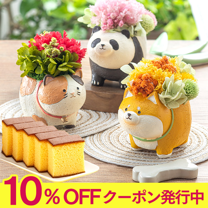 母の日ギフト プリザ プリザーブドフラワー フラワー 長崎 カステラ ギフト