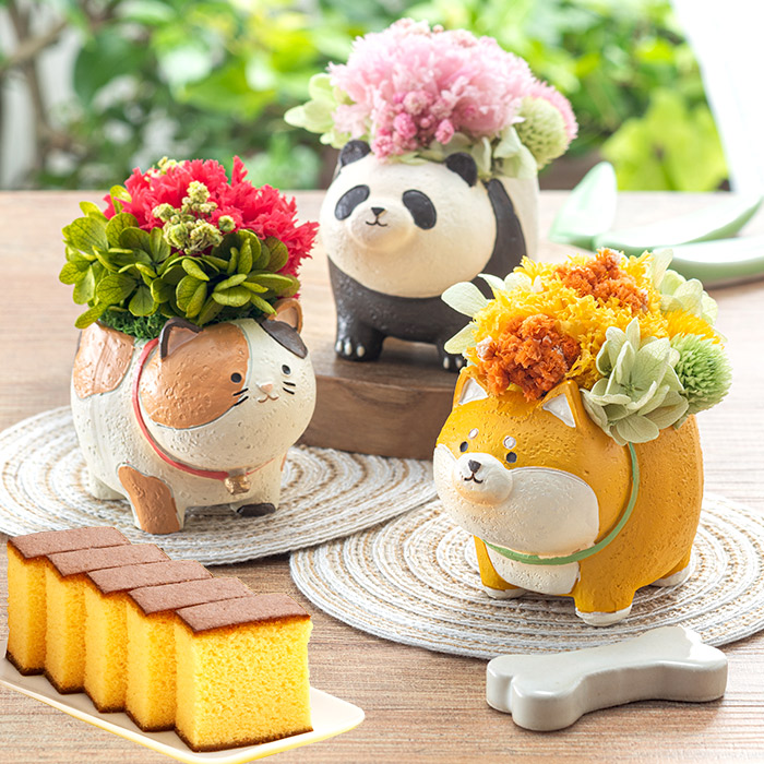 母の日ギフト プリザ プリザーブドフラワー フラワー 長崎 カステラ ギフト