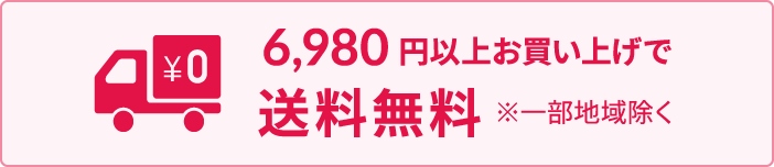 6980円以上お買い上げで送料無料※一部地域を除く