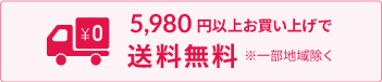 5980円以上お買い上げで送料無料※一部地域を除く