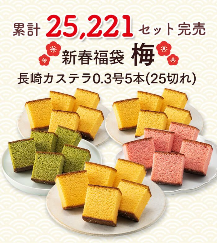 新春 カステラ 福袋 梅 2025年 食品 お菓子 菓子 カステラ  選べる ネタばれ 中身がわかる 人気 正月 お買い得 お得 