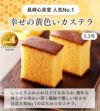 新春 カステラ 福袋 梅 2025年 食品 お菓子 菓子 カステラ  選べる ネタばれ 中身がわかる 人気 正月 お買い得 お得 