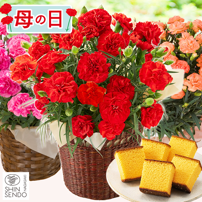 母の日 ギフト 選べる花とスイーツ セット MD12