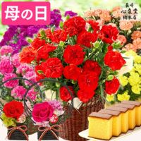 母の日 ギフト 選べる花とスイーツ セット MD12