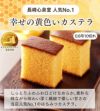 新春 カステラ 福袋 松 2025年  詰め合わせ 送料無料 お取り寄せ 手土産 和菓子 おすすめ 選べる 新春 ネタばれ 中身がわかる グルメ