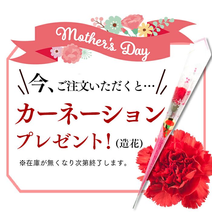 母の日 ギフト コーヒー カステラ セット