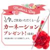 母の日 ギフト コーヒー カステラ セット