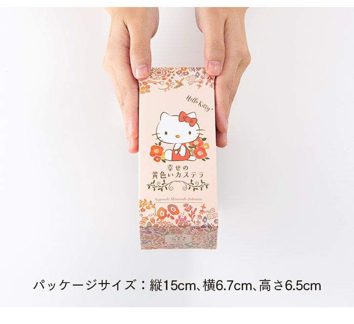 サンリオ福袋　長崎心泉堂 ハローキティ 福袋 キティちゃん キティ