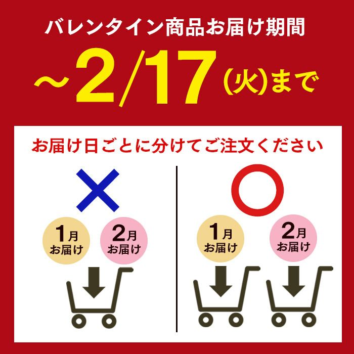 プレミアムチョコカステラ0.5号 2本セット バレンタイン VDA0
