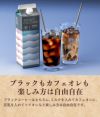 父の日 ギフト コーヒー 長崎カステラセット