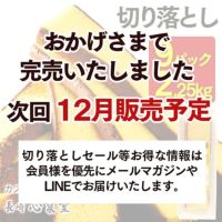 【半額セール】【訳あり】長崎カステラ切り落としお徳用9パック TW00x9