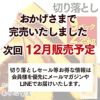 【半額セール】【訳あり】長崎カステラ切り落としお徳用9パック TW00x9