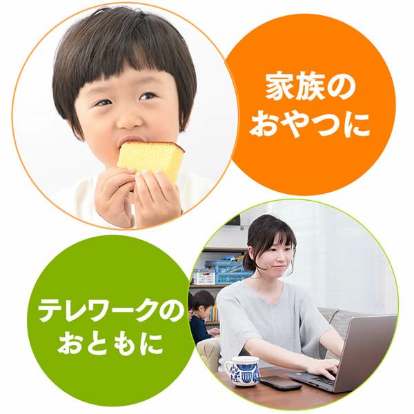 【半額セール】【訳あり】長崎カステラ切り落としお徳用9パック TW00x9