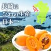 長崎 びわゼリー ギフト 9個入り 送料無料・込 TO95