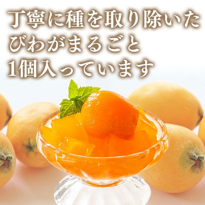 長崎 びわゼリー ギフト 9個入り 送料無料・込 TO95