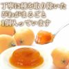 長崎 びわゼリー ギフト 9個入り 送料無料・込 TO95