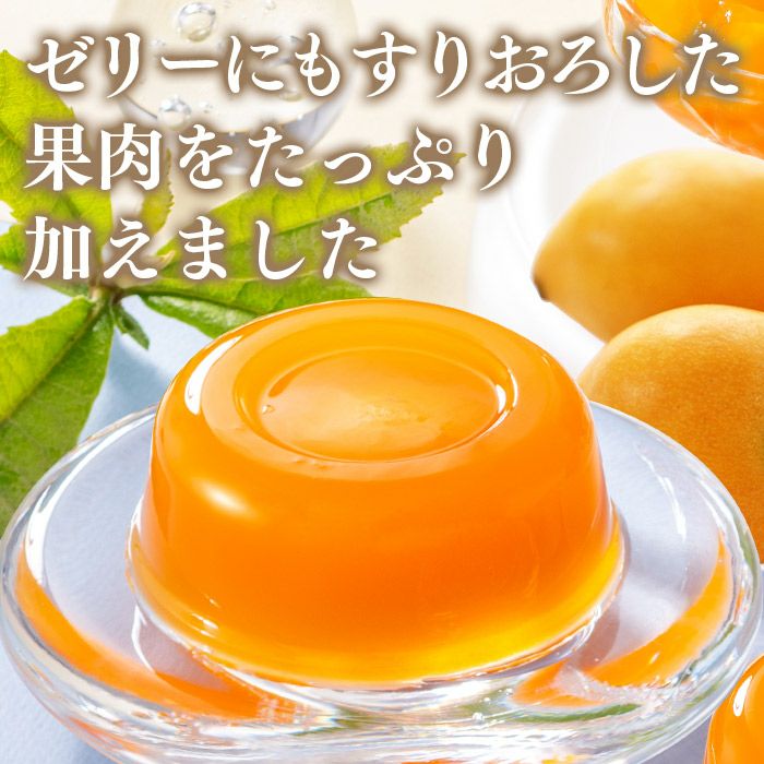 長崎 びわゼリー ギフト 9個入り 送料無料・込 TO95