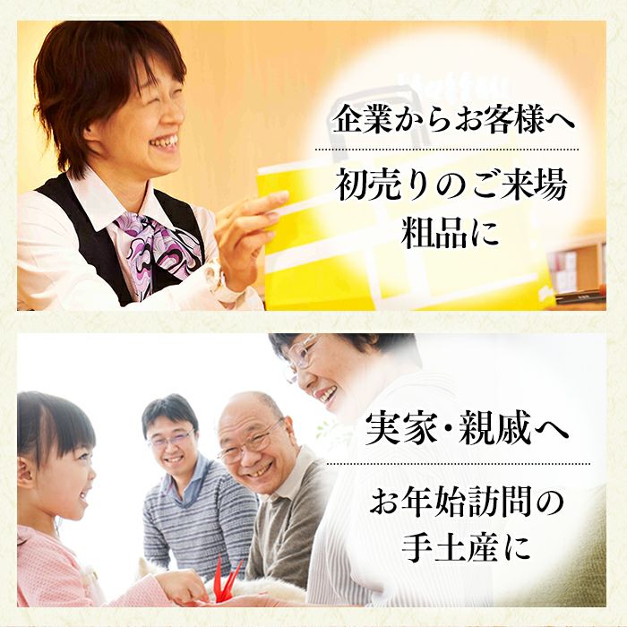 お年賀 ギフト 干支せんべい お菓子 12枚 WGKZ