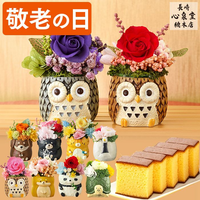 敬老の日ギフト 動物プリザとカステラ KRCC
