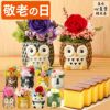 敬老の日ギフト 動物プリザとカステラ KRCC