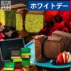 ホワイトデー ショコラ・テラ 個包装8個 VDSW