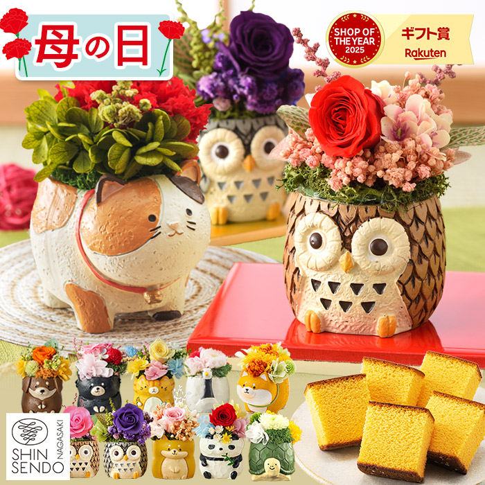 母の日ギフト 動物プリザとカステラ MDQ4