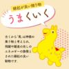 ロディ RODY チョコカステラ 0.3号