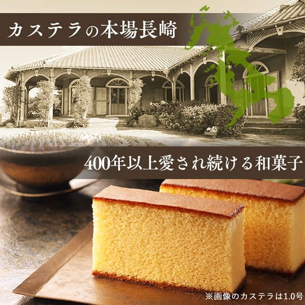 お供え お菓子 長崎カステラ ハーフ 0.3号 5切 TO1V | カステラ