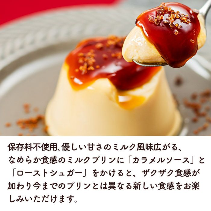 解体セール ブリュレプリン 30個 セット 